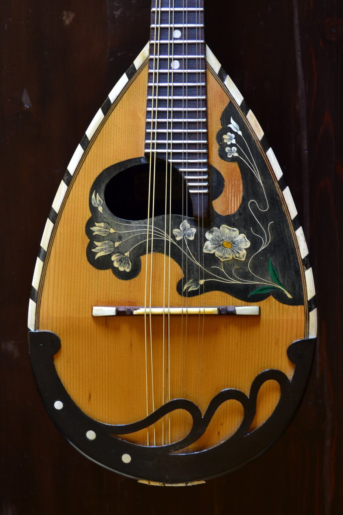 liuteria bona - riparazione mandolini e strumenti etnici